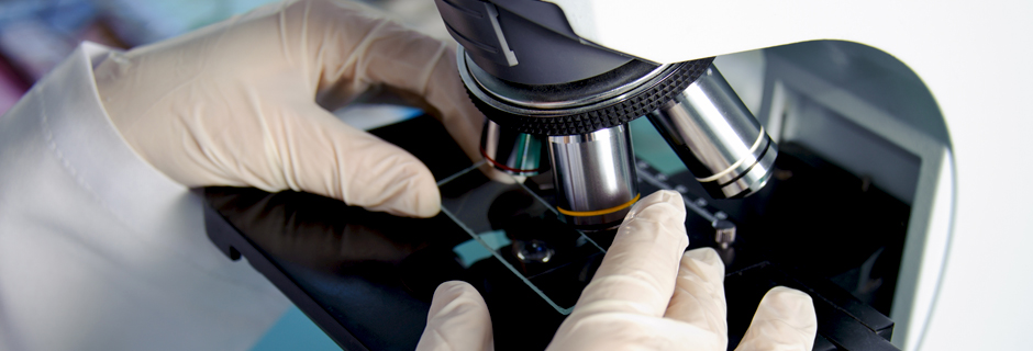 Microscope